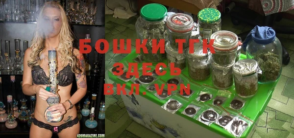 ПСИЛОЦИБИНОВЫЕ ГРИБЫ Арсеньев