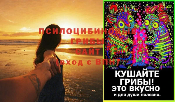 индика Дегтярск