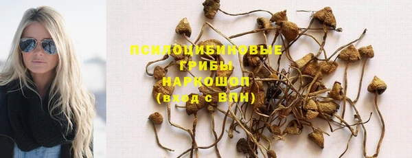 метамфетамин Аркадак