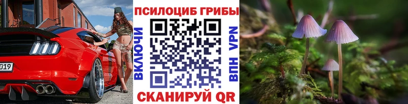 Галлюциногенные грибы прущие грибы  даркнет сайт  Унеча 